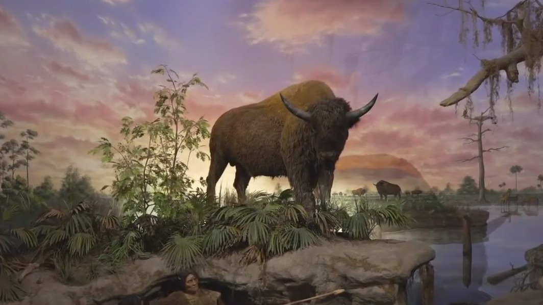 What was Florida like thousands of years ago? Bishop Museum offers answers